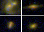 Trou noir en activité dans les galaxies compactes