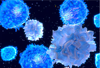Lupus : pourquoi le système immunitaire se rebelle