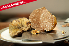 Le génome des truffes révèle le secret de la fabrication de leurs parfums