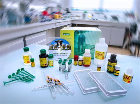 Kit de diagnostic du prion. © CEA / L. Godart