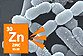 La radiorésistance bactérienne s’organise avec le zinc