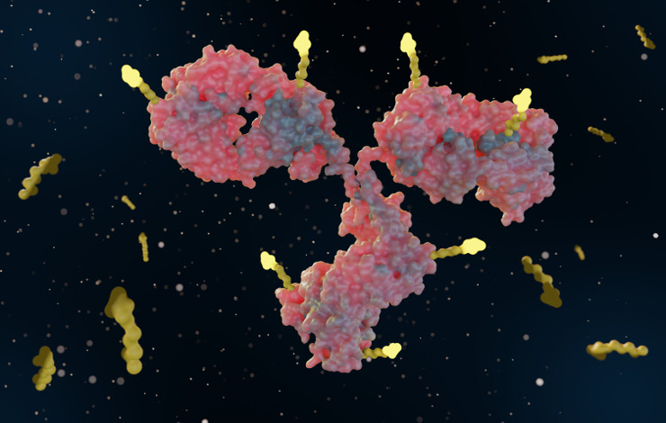 Profilage immunologique du cancer : quand la chimie-click rencontre la spectrométrie de masse