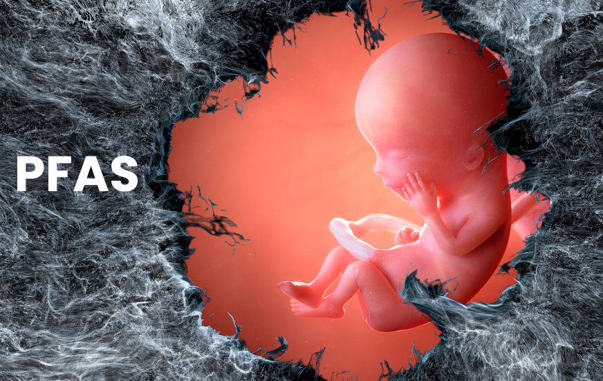 PFAS can affect the health of the placenta during pregnancy