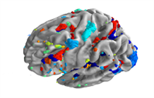 IBC 3, cartographie des fonctions cognitives en réponse à des stimuli naturalistes