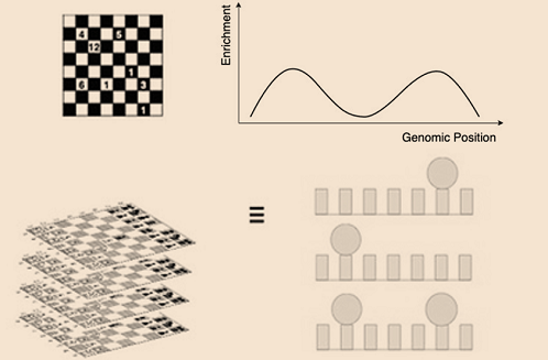 Next-generation sequencing data modeled like a chess game