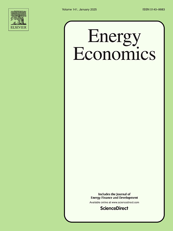 Publication - Prosumers: Grid vs. Individual storage