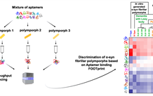 AptaFOOT-Seq : une nouvelle méthode pour le diagnostic de maladies neurodégénératives