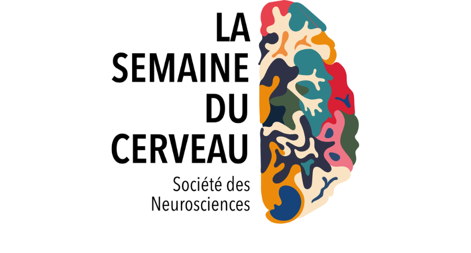 La semaine du cerveau 2025