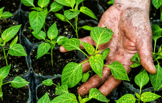 Agriculture : agir pour l'eau