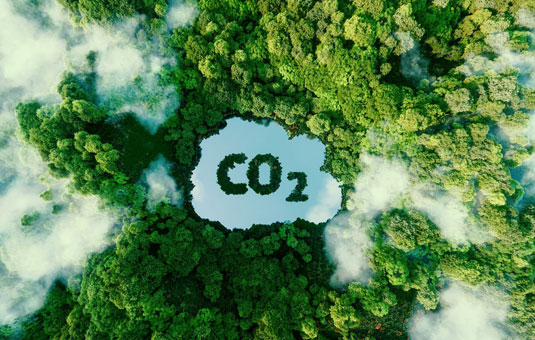 Presse & Médias - La capacité des forêts françaises à absorber le CO2  s'effondre
