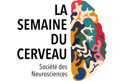 Semaine du cerveau : des événements et conférences pour mieux comprendre cet organe mystérieux